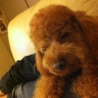 Kirby.2011.12.04-032.JPG