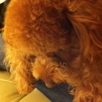 Kirby.2011.12.04-033.JPG