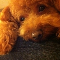 Kirby.2011.12.04-036.JPG