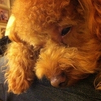 Kirby.2011.12.04-037.JPG