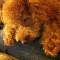 Kirby.2011.12.04-040.JPG