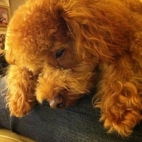 Kirby.2011.12.04-044.JPG