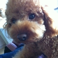 Kirby.2011.12.07-001.JPG