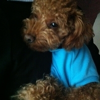 Kirby.2011.12.11-010.JPG