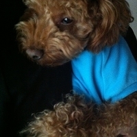 Kirby.2011.12.11-013.JPG
