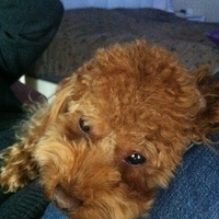 Kirby.2011.12.14-013.JPG