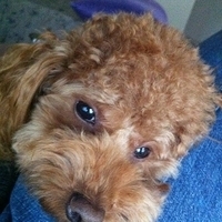 Kirby.2011.12.14-015.JPG