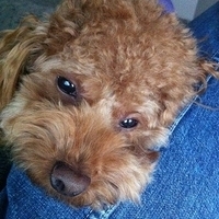 Kirby.2011.12.14-016.JPG