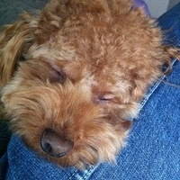 Kirby.2011.12.14-017.JPG