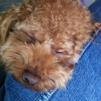 Kirby.2011.12.14-018.JPG