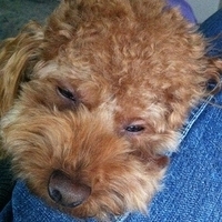 Kirby.2011.12.14-019.JPG