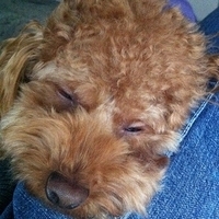Kirby.2011.12.14-020.JPG