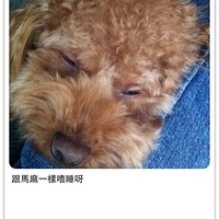 Kirby.2011.12.14-021.JPG