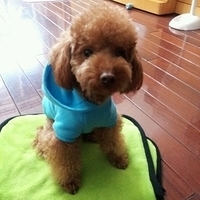 Kirby.2011.12.20-001.JPG