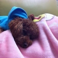 Kirby.2011.12.22-001.JPG