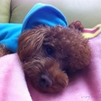 Kirby.2011.12.22-002.JPG