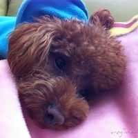 Kirby.2011.12.22-003.JPG