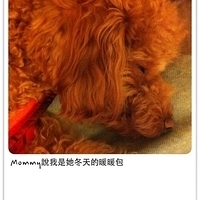 Kirby.2011.12.26-010.JPG