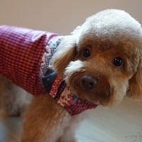 Kirby.2012.12.07-001.JPG