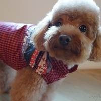 Kirby.2012.12.07-002.JPG