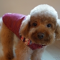 Kirby.2012.12.07-003.JPG