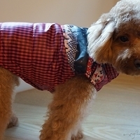 Kirby.2012.12.07-004.JPG