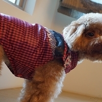 Kirby.2012.12.07-005.JPG