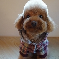 Kirby.2012.12.07-006.JPG