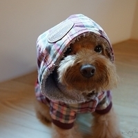 Kirby.2012.12.07-009.JPG
