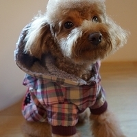 Kirby.2012.12.07-011.JPG