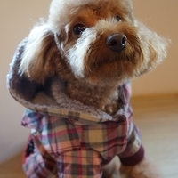 Kirby.2012.12.07-012.JPG