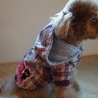 Kirby.2012.12.07-013.JPG