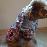 Kirby.2012.12.07-014.JPG