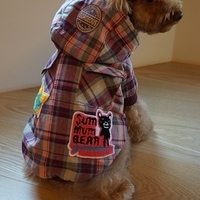 Kirby.2012.12.07-015.JPG
