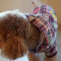 Kirby.2012.12.07-017.JPG