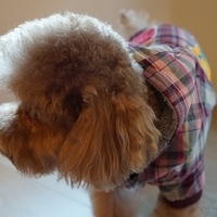Kirby.2012.12.07-018.JPG