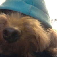 Kirby.2012.12.25-001.JPG