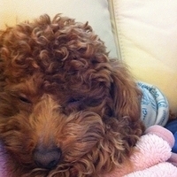 Kirby.2011.02.14-001.jpg
