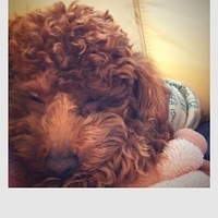 Kirby.2011.02.14-002.jpg
