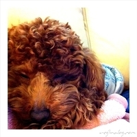 Kirby.2011.02.14-003.jpg