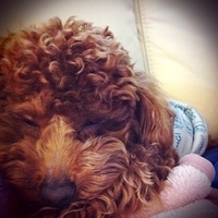 Kirby.2011.02.14-004.jpg