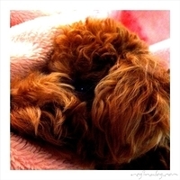 Kirby.2011.02.14-007.jpg