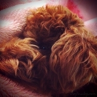 Kirby.2011.02.14-008.jpg