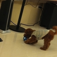 Kirby.2011.02.14-009.jpg