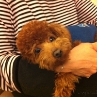 Kirby.2011.02.22-001.jpg