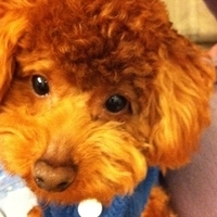 Kirby.2011.02.23-001.jpg
