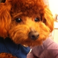Kirby.2011.02.23-002.jpg