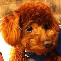 Kirby.2011.02.23-003.jpg