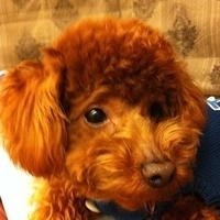 Kirby.2011.02.23-004.jpg