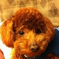 Kirby.2011.02.23-005.jpg